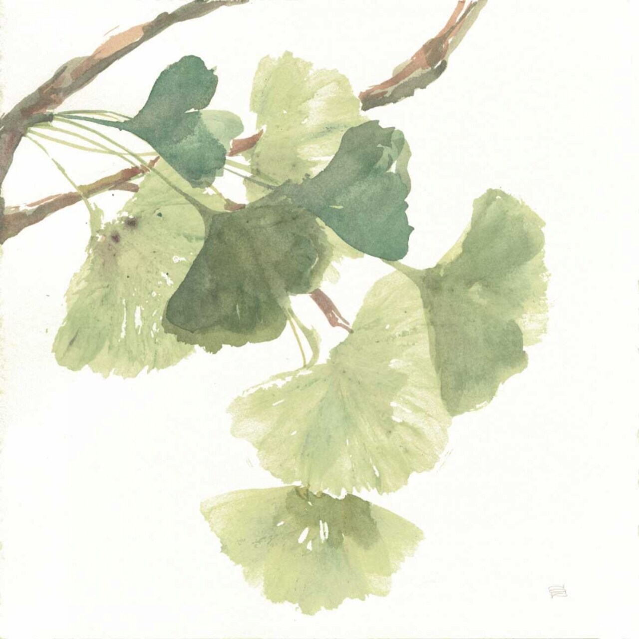 Gingko Leaves I on White Poster Print by Chris Paschke - Item # VARPDX30858